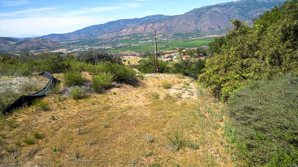 4 Rim Of The Valley Valley Center, CA 92082 - Photo 5 of 12 a view of a lush green hillside and houses