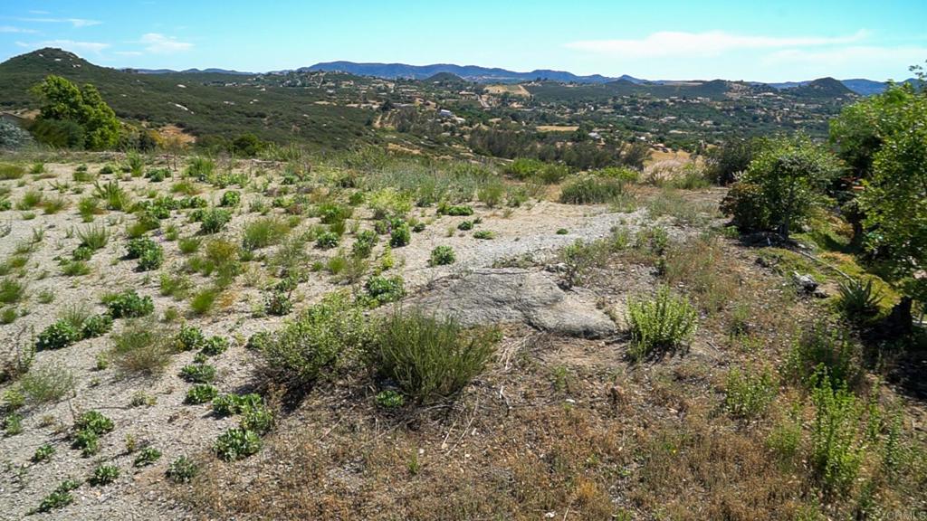 4 Rim Of The Valley Valley Center, CA 92082 - Photo 9 of 12 a view of a mountain in the distance in a field