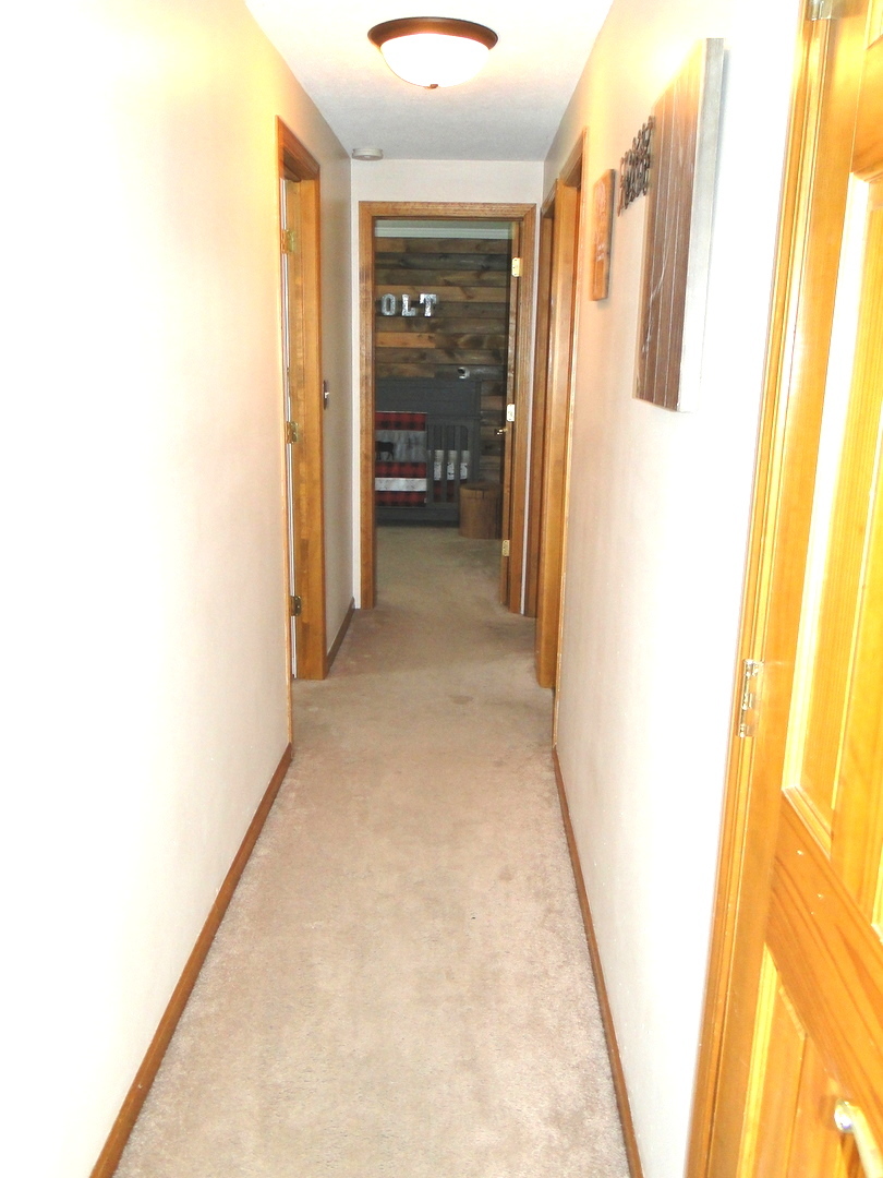 835 County Rd S 419 East Kankakee, IL 60901 - Photo 19 of 34