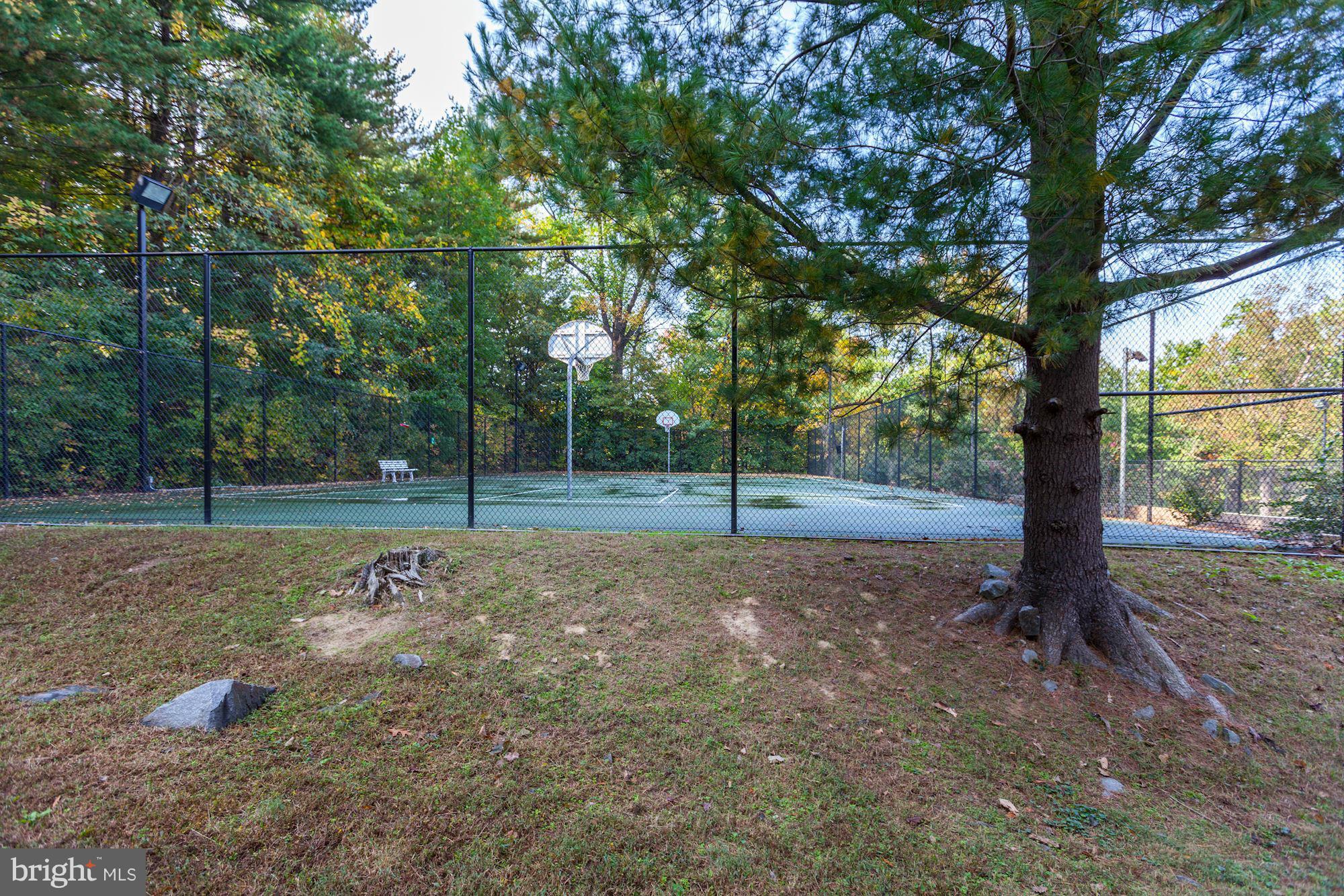 3234 Gunston Road, Unit 1 Alexandria, VA 22302 - Photo 22 of 27 Exterior (General)