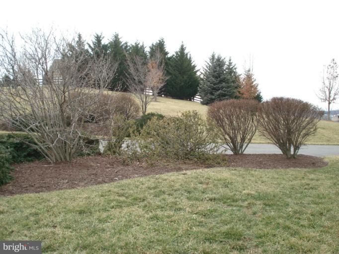 151 Upper Ridge Road Winchester, VA 22603 - Photo 10 of 14 Exterior (Front)