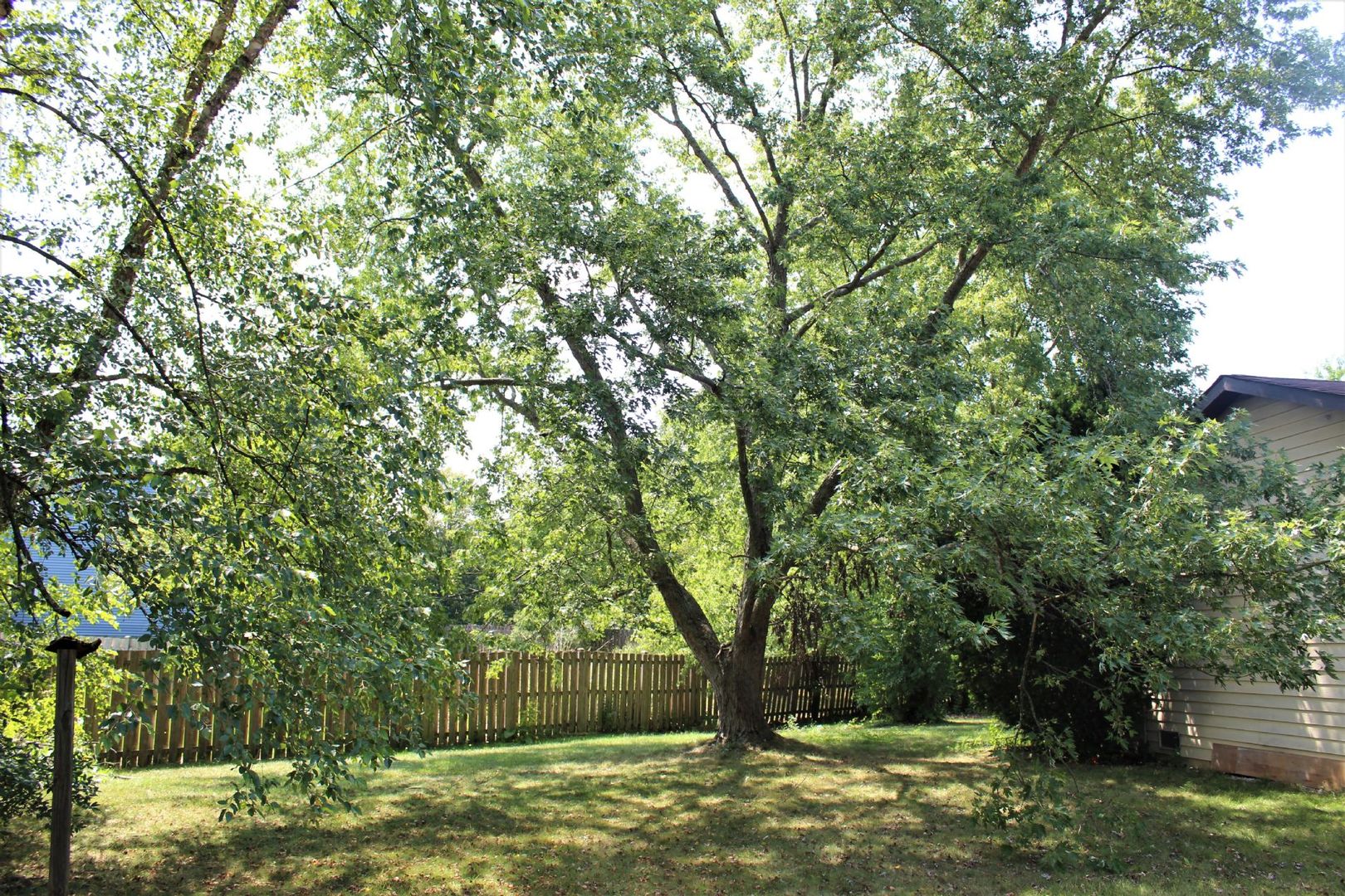 1391 Rennet Drive Naperville, IL 60565 - Photo 20 of 21 a view of outdoor space with trees