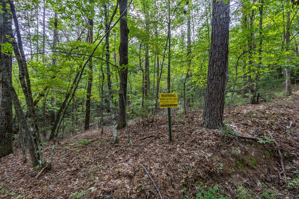 2-ac Horvath Road Murphy, NC 28906 - Photo 10 of 12
