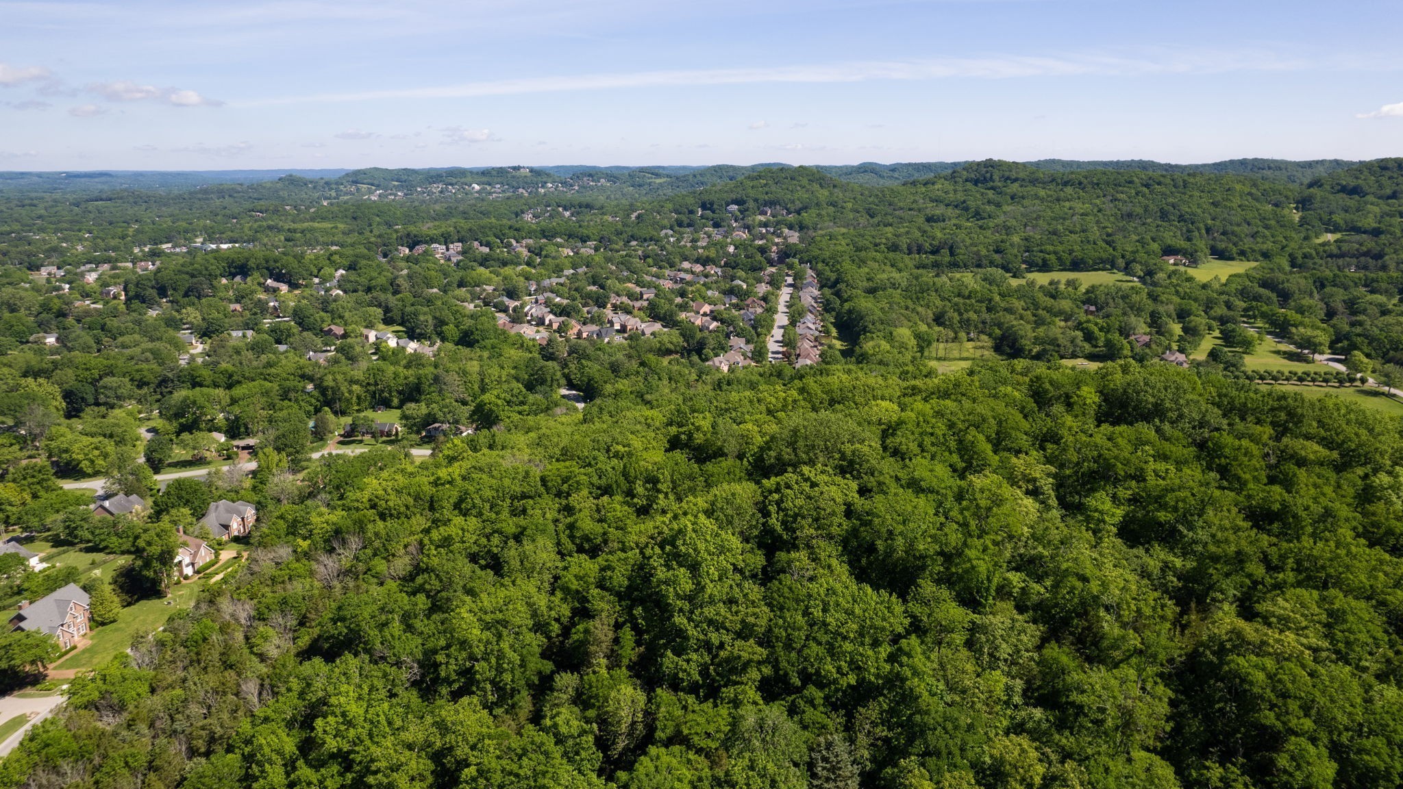 246 Spencer Creek Road Franklin, TN 37069 - Photo 16 of 16 a view of a green field with lots of bushes