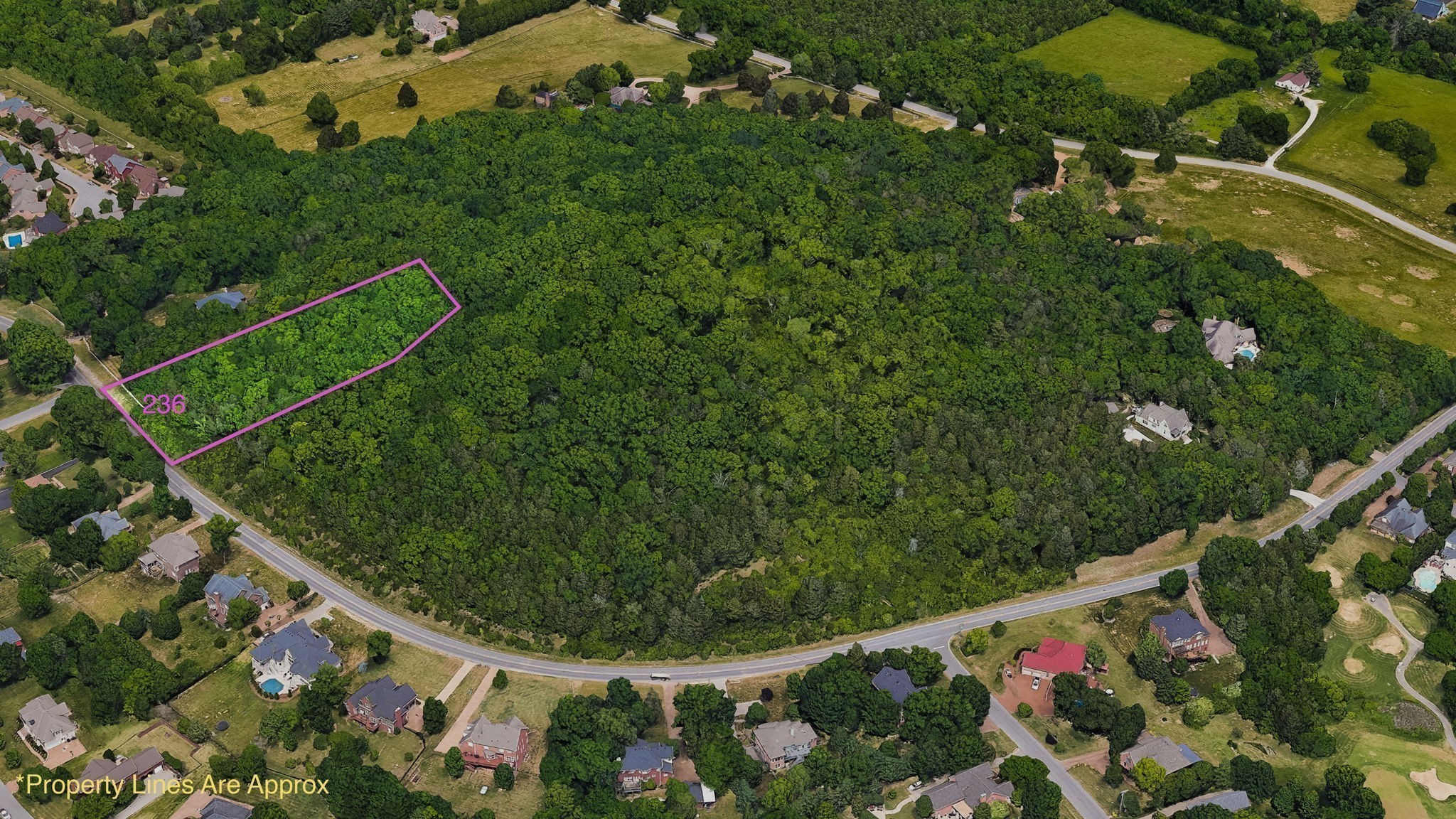 246 Spencer Creek Road Franklin, TN 37069 - Photo 6 of 16