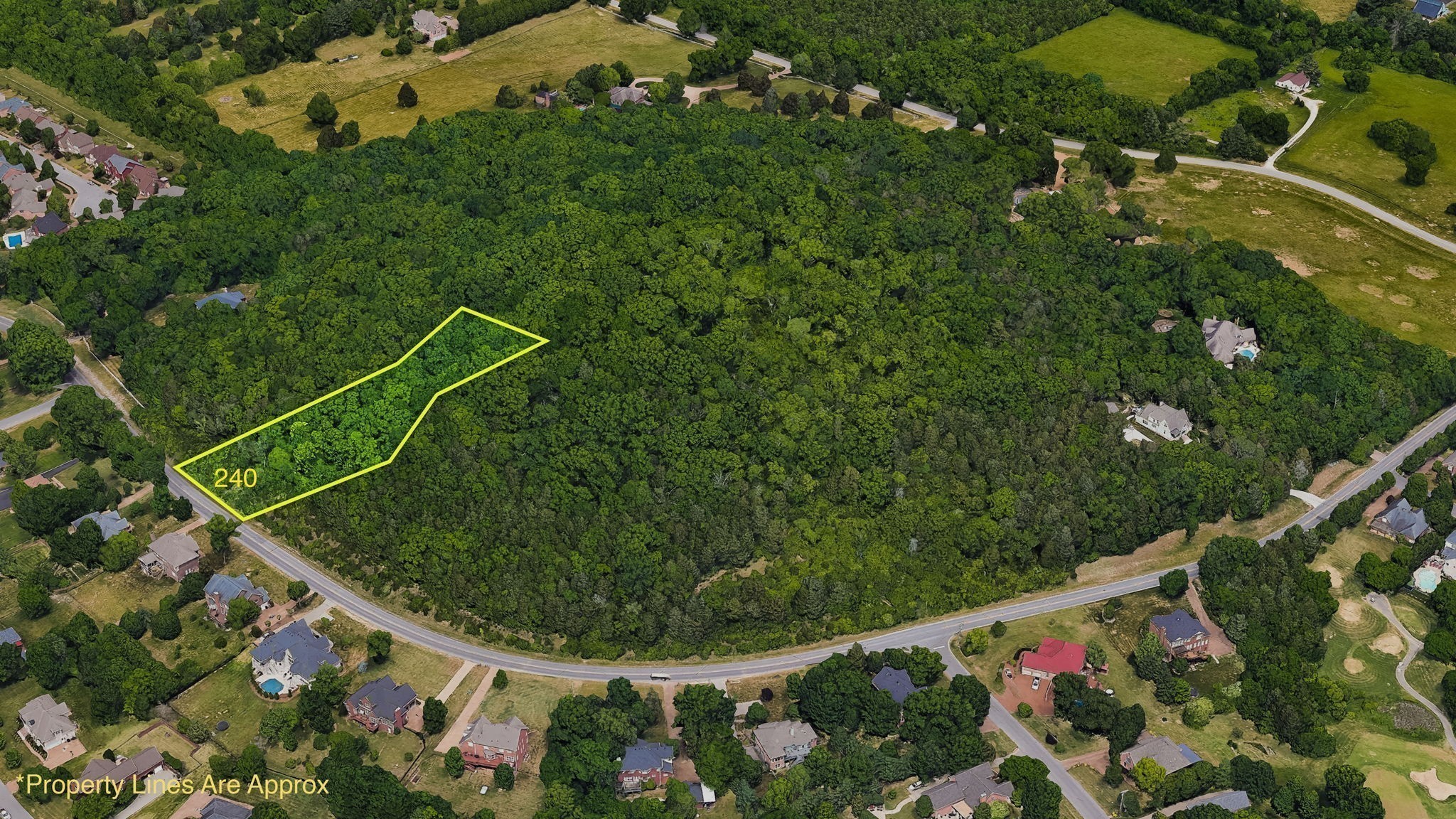 246 Spencer Creek Road Franklin, TN 37069 - Photo 7 of 16