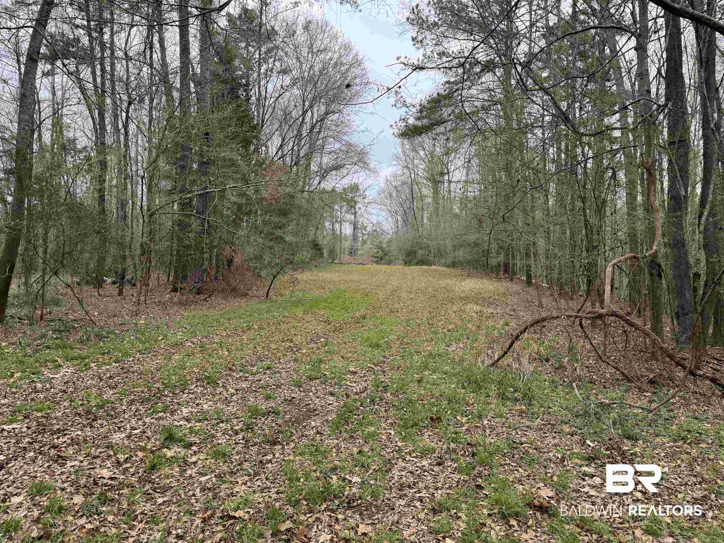 0 Cement Plant Road Jackson, AL 36545 - Photo 8 of 22