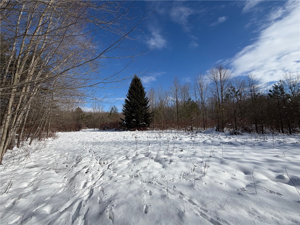 New Jerusalem Road Eden, NY 14057 - Photo 2 of 18