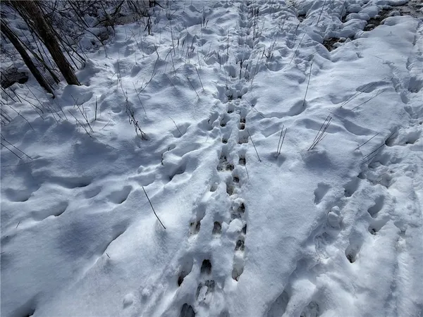 $169,900 | New Jerusalem Road, Eden, NY 14057