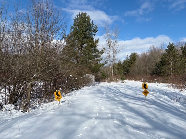 New Jerusalem Road Eden, NY 14057 - Photo 6 of 18