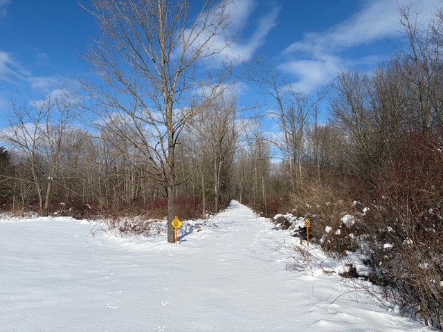 New Jerusalem Road Eden, NY 14057 - Photo 9 of 18