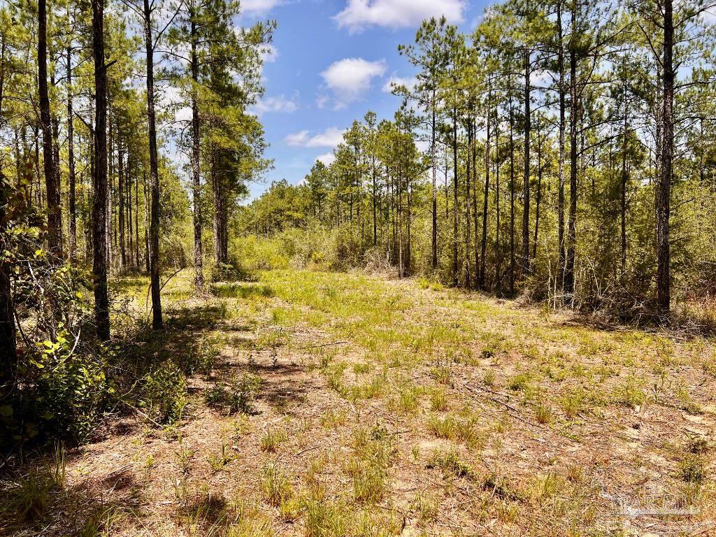 Lot 98 Turning Leaf Road Milton, FL 32571 - Photo 14 of 45 Gallery Image 14