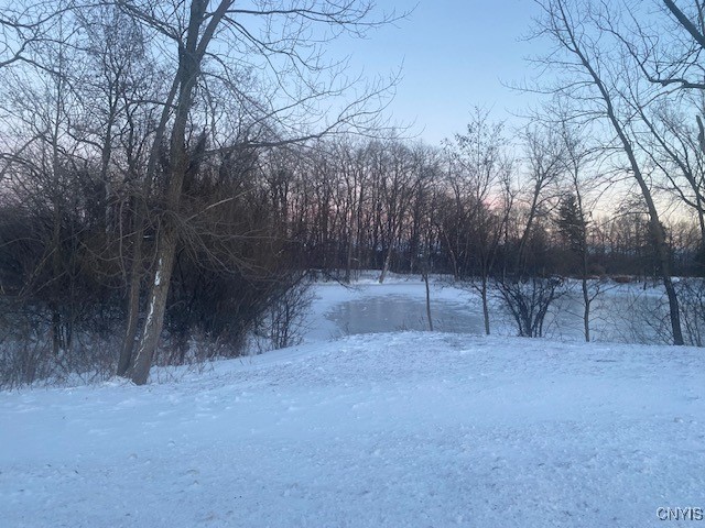 0 Peck Road Deansboro, NY 13328 - Photo 2 of 4