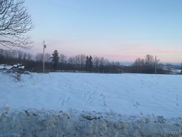 0 Peck Road Deansboro, NY 13328 - Photo 3 of 4