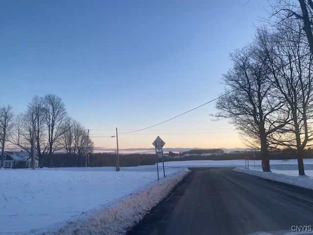 0 Peck Road Deansboro, NY 13328 - Photo 4 of 4