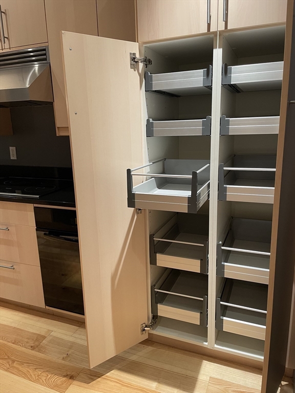 61 Prince Street, Unit 1C Boston, MA 02113 - Photo 8 of 26 a view of walk in closet with empty racks