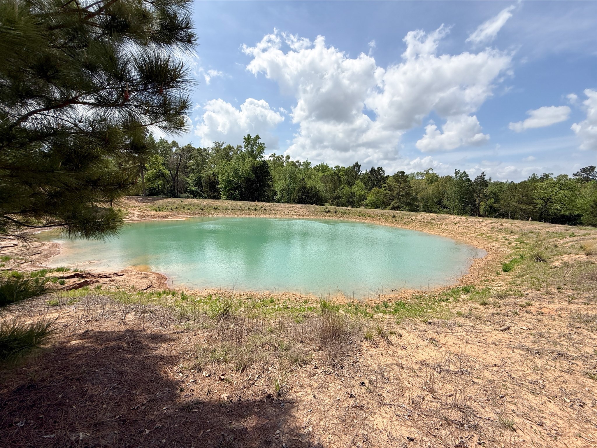 740 Bridget Avenue Buffalo, TX 75831 - Photo 14 of 50 a view of lake