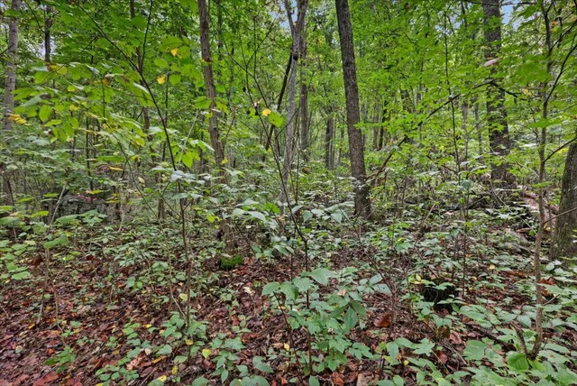 $88,500 | 0 Highway 27, Unit LOT 69, Whitwell, TN 37397