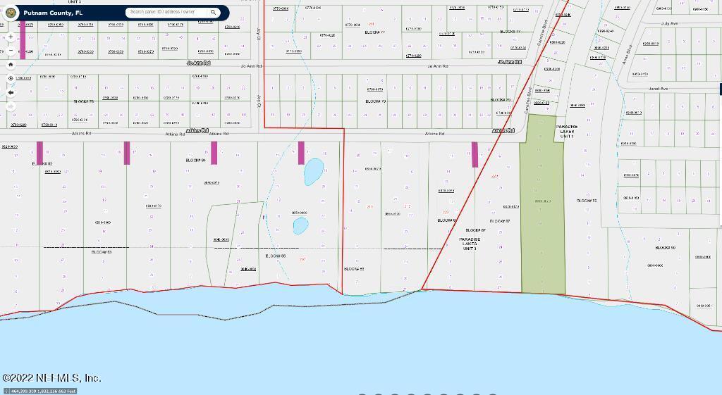 Lot 7 Atkins Road Georgetown, FL 32139 - Photo 2 of 2 01