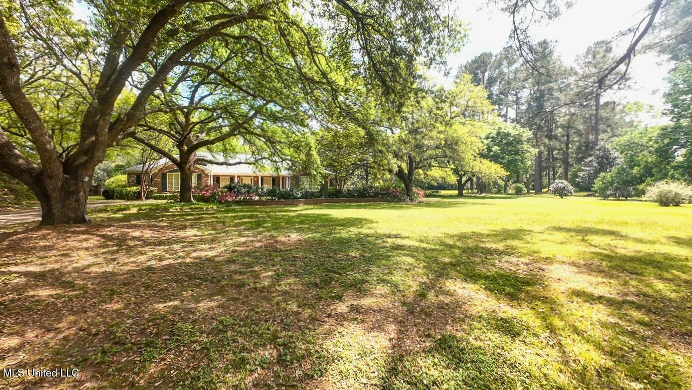 9 Adam Circle Natchez, MS 39120 - Photo 2 of 61 9AdamsCircle_Additional-1