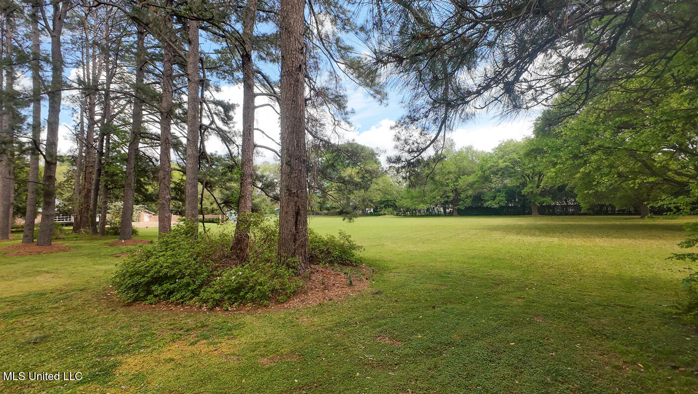 9 Adam Circle Natchez, MS 39120 - Photo 4 of 61 9AdamsCircle_Additional-9