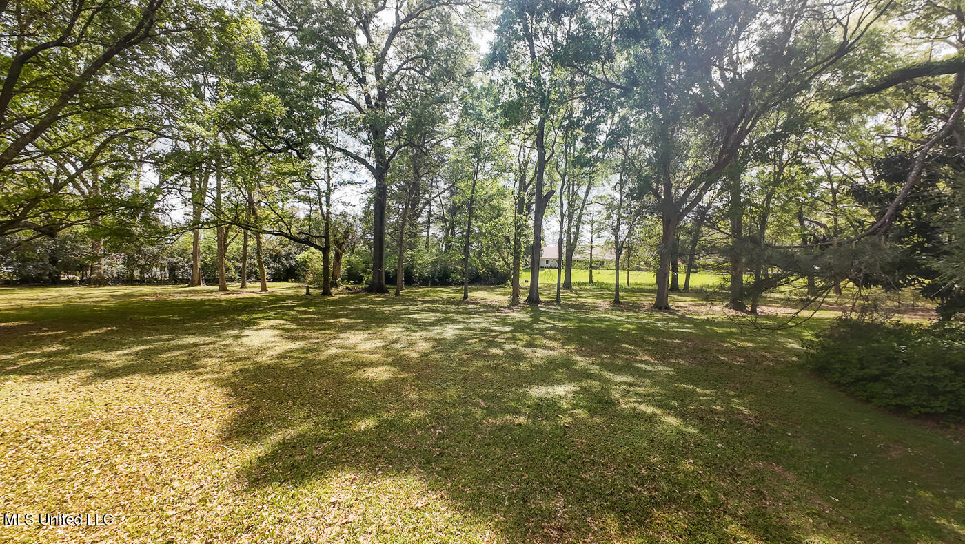 9 Adam Circle Natchez, MS 39120 - Photo 50 of 61 9AdamsCircle_Additional-10