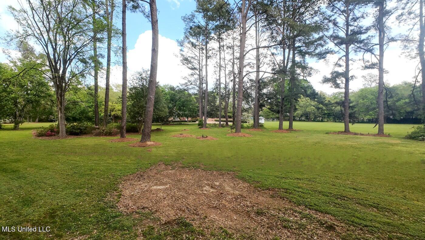 9 Adam Circle Natchez, MS 39120 - Photo 5 of 61 9AdamsCircle_Additional-7