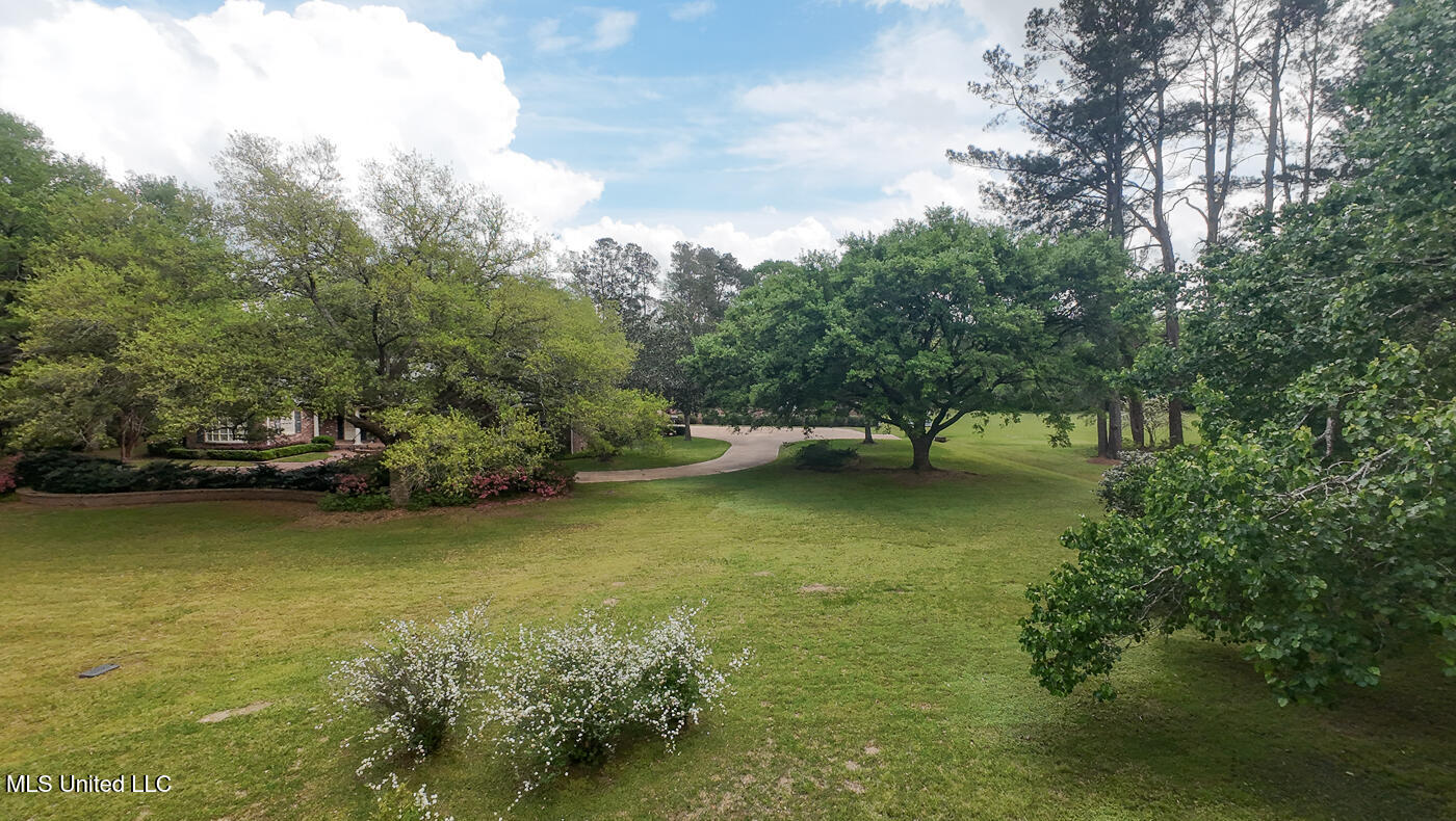 9 Adam Circle Natchez, MS 39120 - Photo 52 of 61 9AdamsCircle_Additional-4