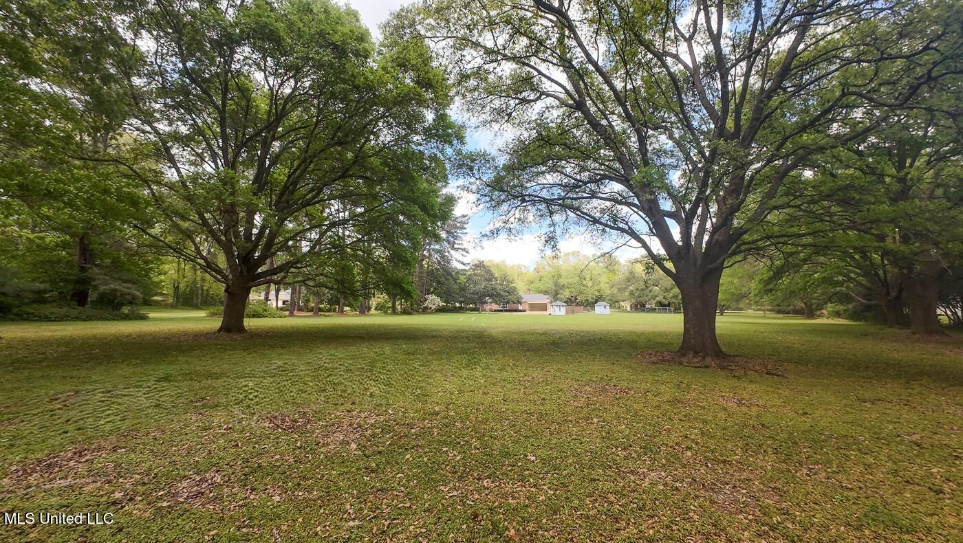 9 Adam Circle Natchez, MS 39120 - Photo 6 of 61 9AdamsCircle_Additional-11