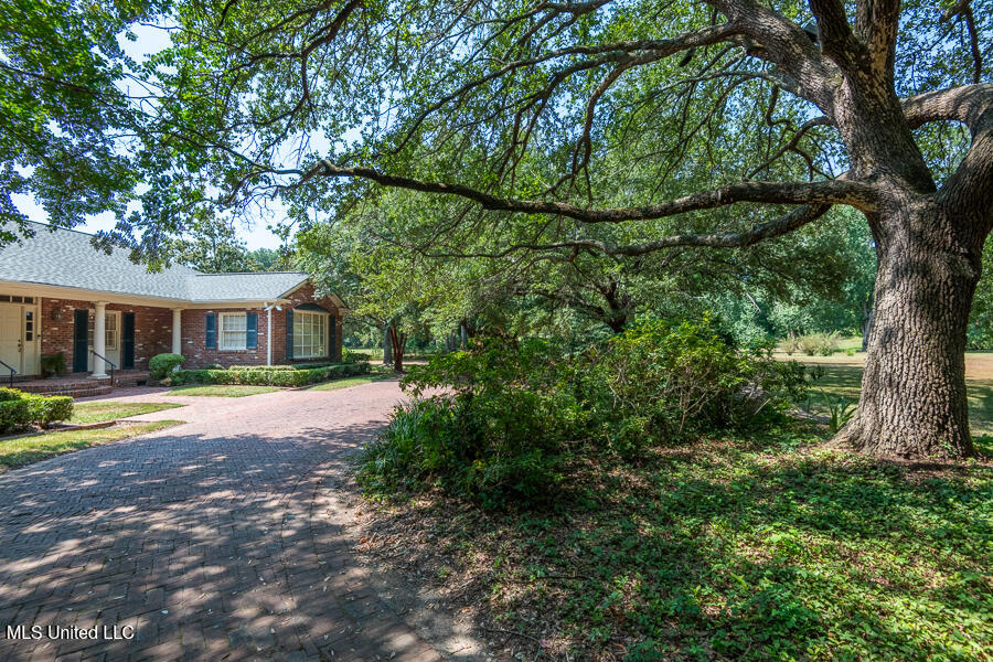 9 Adam Circle Natchez, MS 39120 - Photo 10 of 61 AdamsCircle_LowRes-37