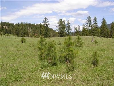 363001 Cape Labelle Road Tonasket, WA 98855 - Photo 1 of 1