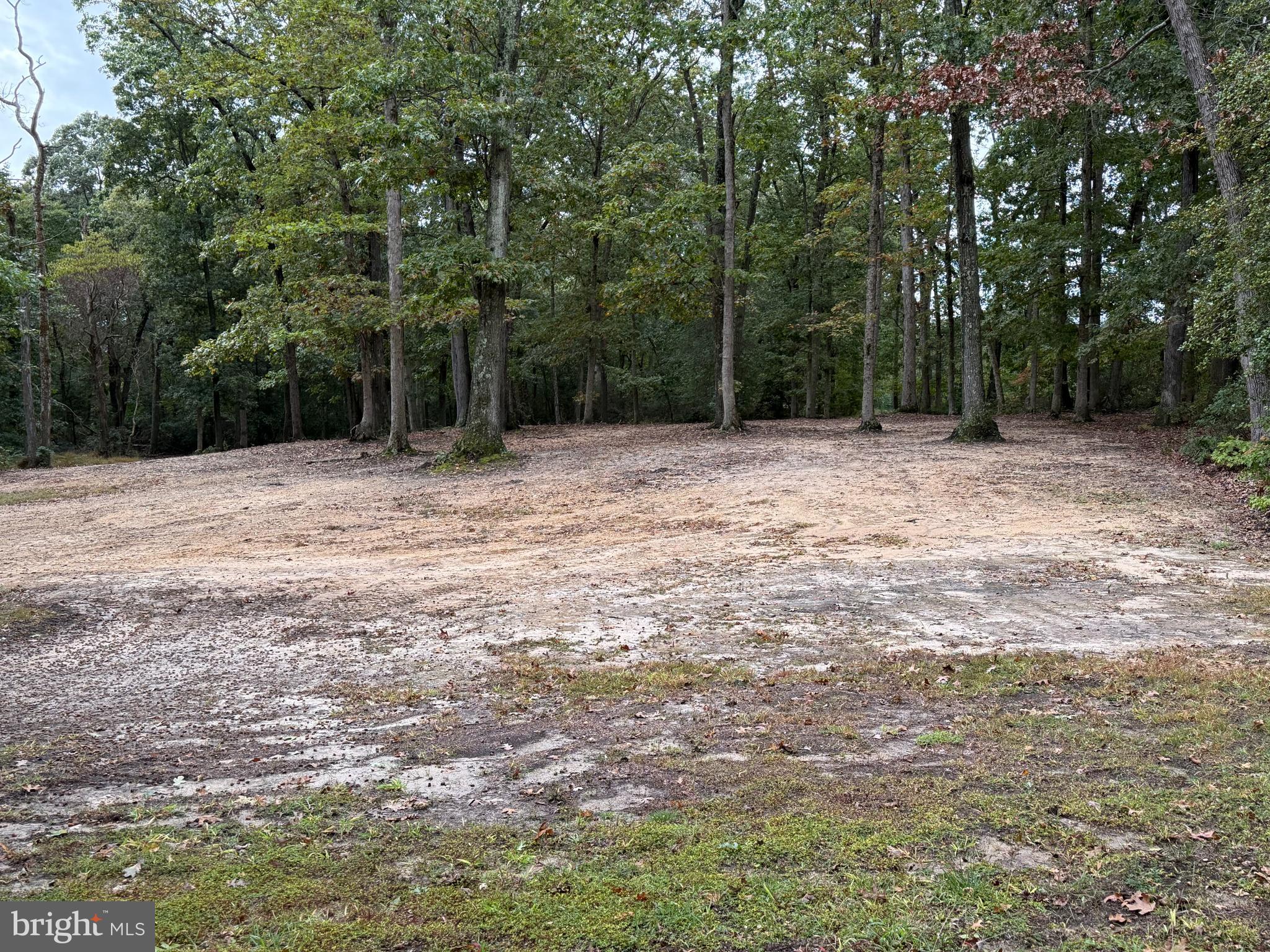 52 Dubois Road Bridgeton, NJ 08302 - Photo 3 of 31