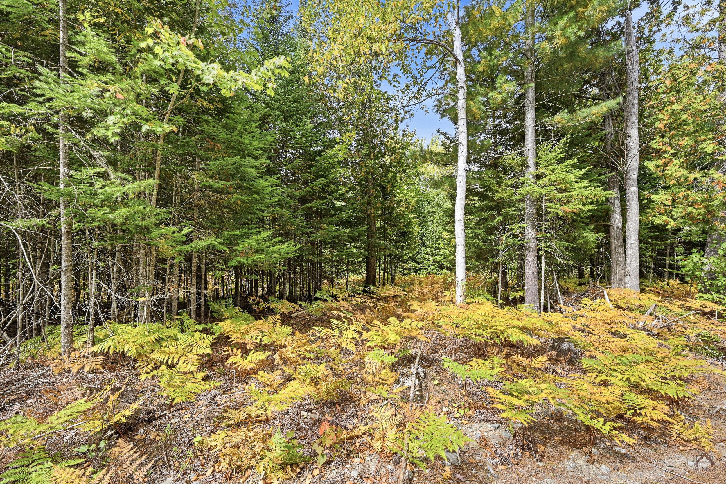 Lot F Lot F Stephensons Road Stratton, ME 04982 - Photo 24 of 25 324-S-LP-106