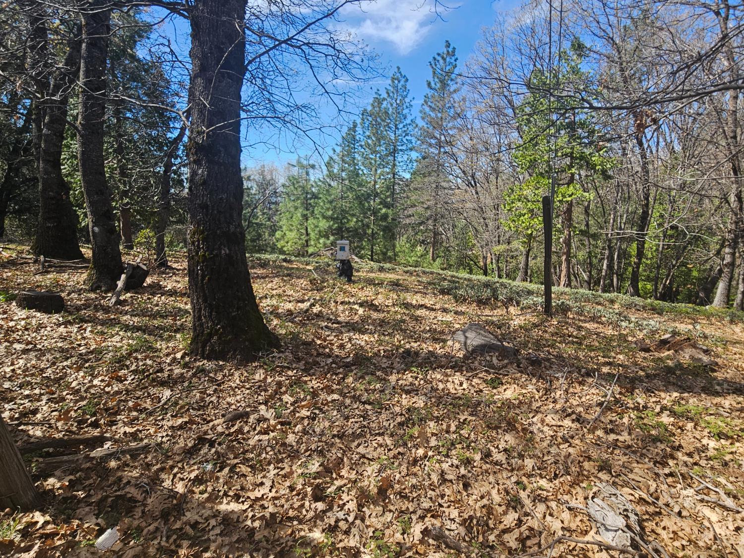 23470 Pack Trail Road Sonora, CA 95370 - Photo 1 of 13 cleared land, well pump in background