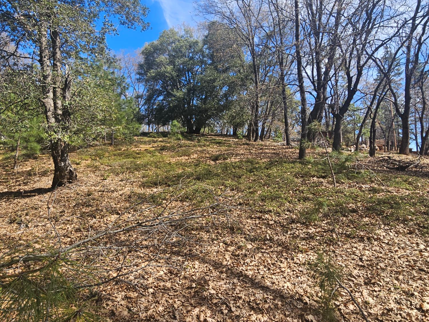 23470 Pack Trail Road Sonora, CA 95370 - Photo 11 of 13