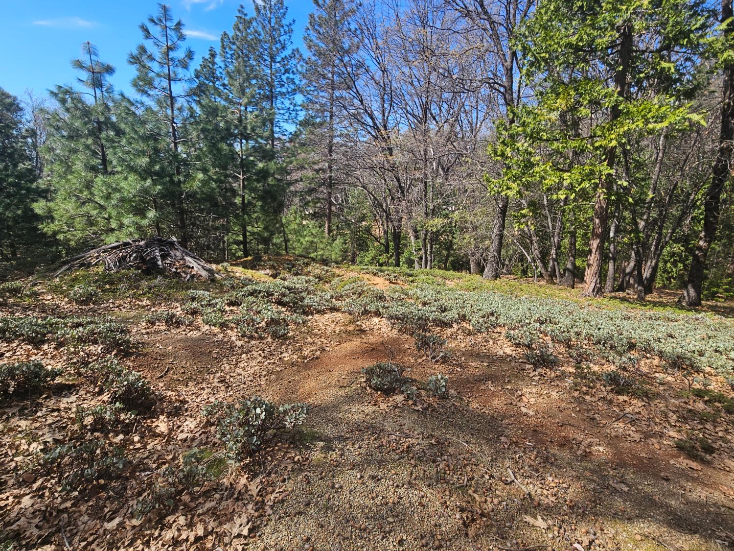 23470 Pack Trail Road Sonora, CA 95370 - Photo 12 of 13