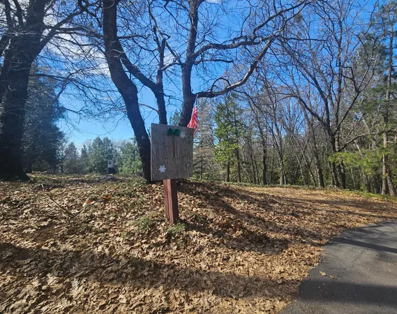 a view of a yard with trees