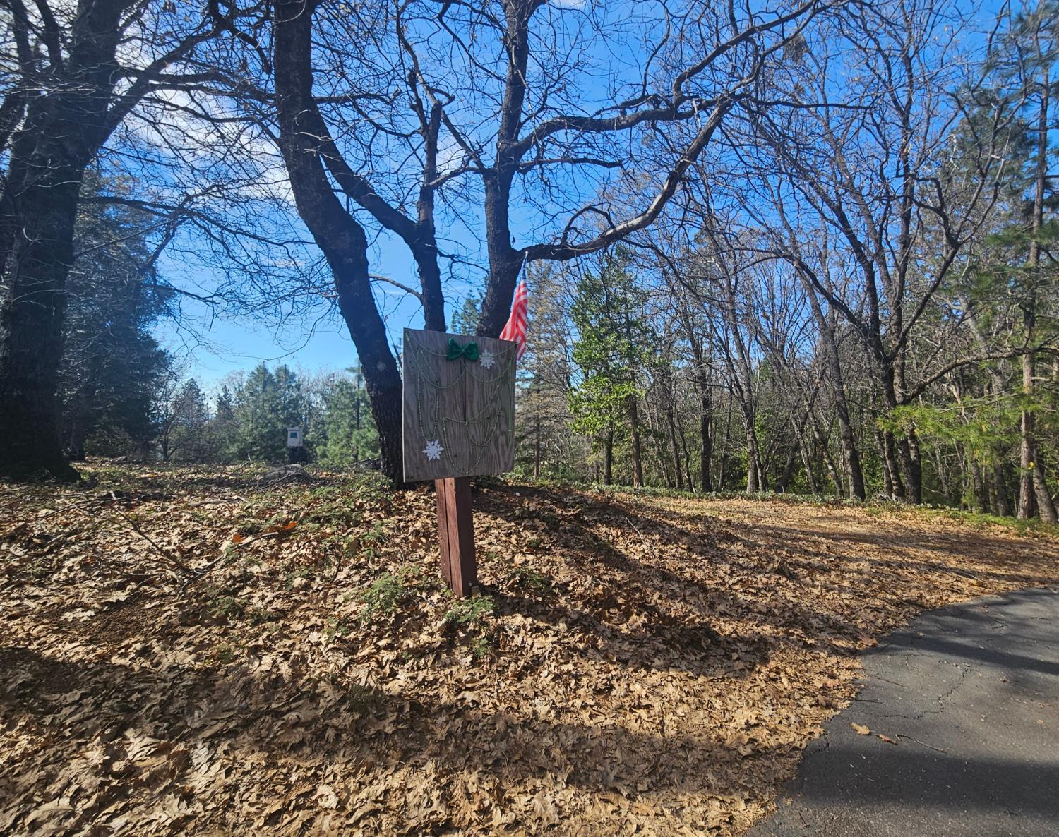23470 Pack Trail Road Sonora, CA 95370 - Photo 2 of 13 This area is where my sign is, and beginning of lot from street