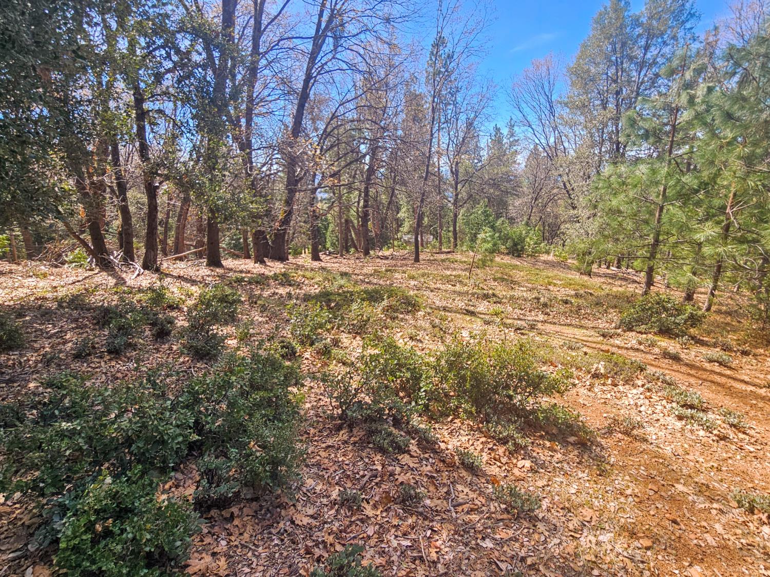 23470 Pack Trail Road Sonora, CA 95370 - Photo 3 of 13 Flat, cleared land to build