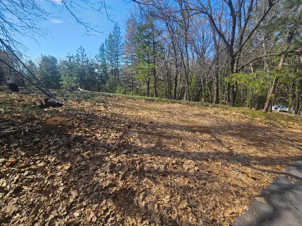 a backyard of a house with a trees