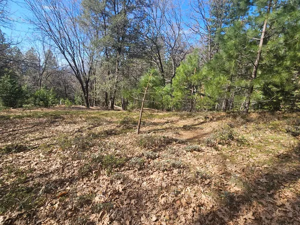 a backyard of a house with large trees