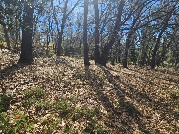 a view of outdoor space with trees