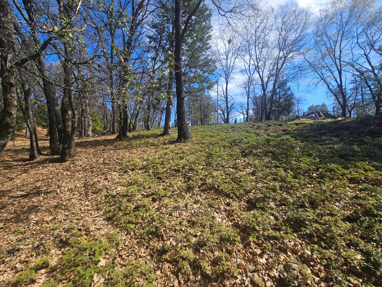 23470 Pack Trail Road Sonora, CA 95370 - Photo 10 of 13