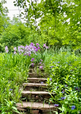 6265 Emigration Canyon Road Emigration Canyon, UT 84108 - Photo 79 of 85 Stone stair pathway bordered by lush greenery and flowering plants