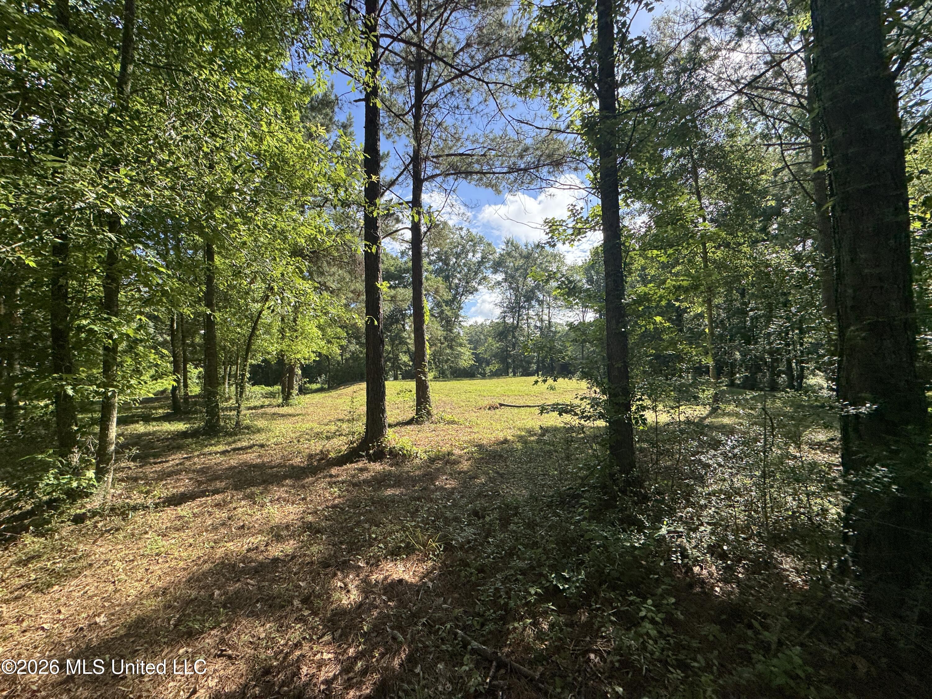135 Joe Booth Road Taylorsville, MS 39168 - Photo 19 of 22 IMG_6430