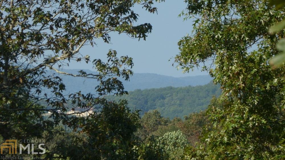 0 Winding Creek Road Blue Ridge, GA 30513 - Photo 1 of 1 Front Gate