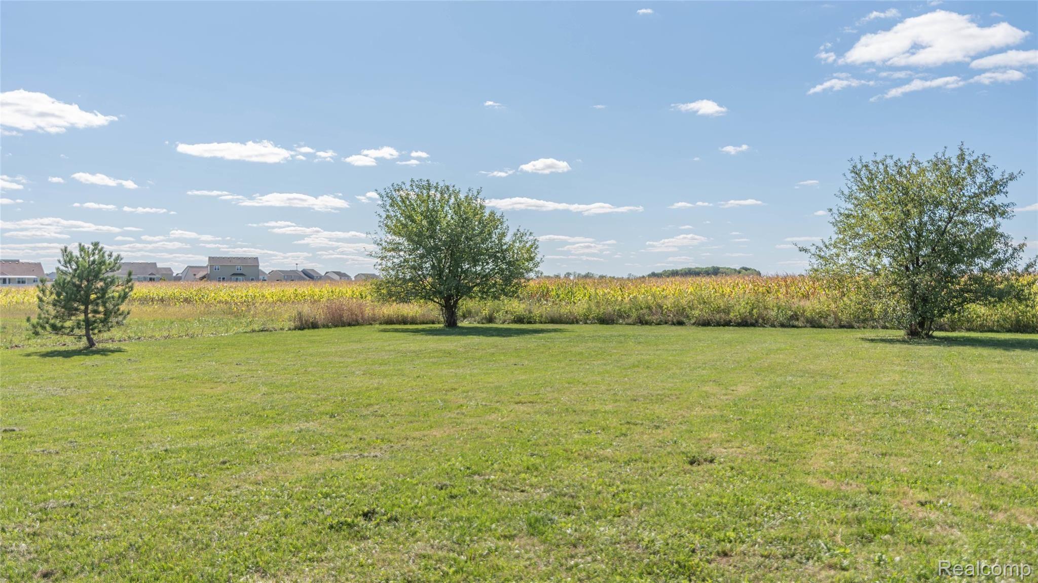 1173 Dundee Azalia Road Dundee, MI 48131 - Photo 47 of 68 00__46.jpg