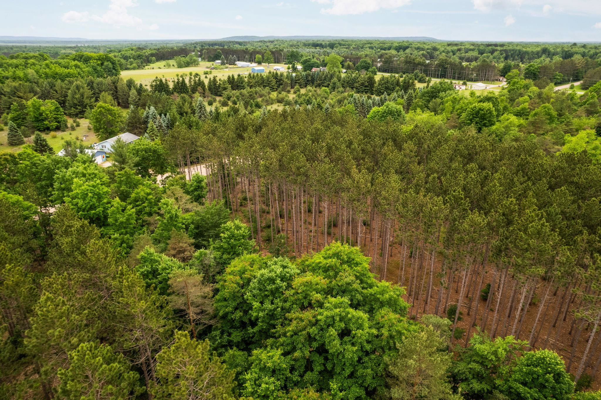 Parcel E St Johns Road Interlochen, MI 49643 - Photo 19 of 39