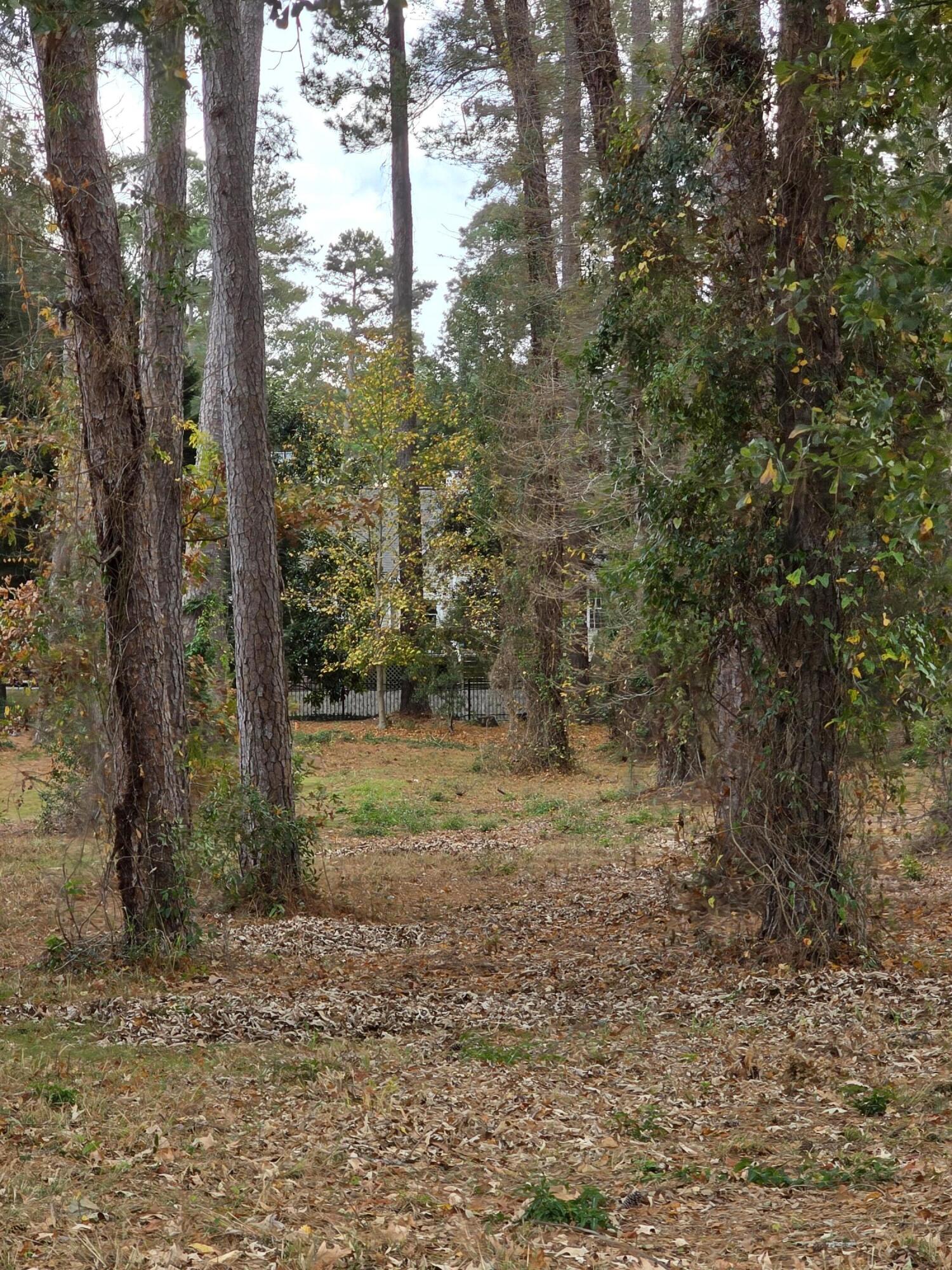 Undisclosed Address Santee, SC 29142 - Photo 13 of 61 20251125_140257