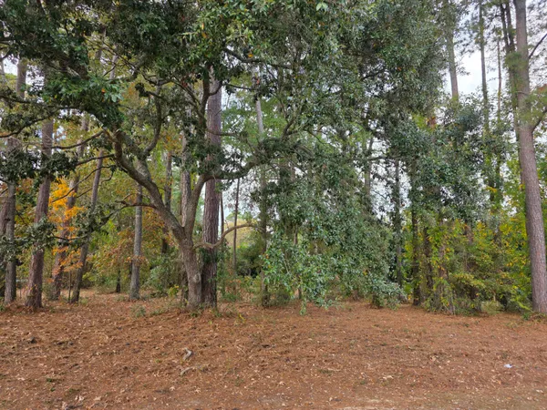 $85,000 | Undisclosed Address, Santee, SC 29142